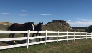 59307-Phase-I-ESA-PCS-Ranch-Property-CO