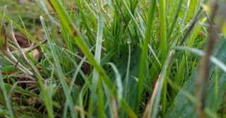 Blog-Metals-Environmental-Contamination-and-Remediation-600x314