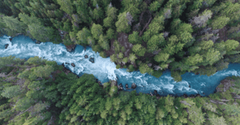 Trees-and-river-environmental-VERTEX-stock-600x314