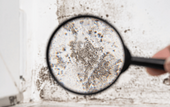 magnified glass over mold